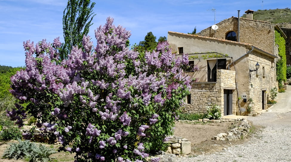 Ca l’Olier