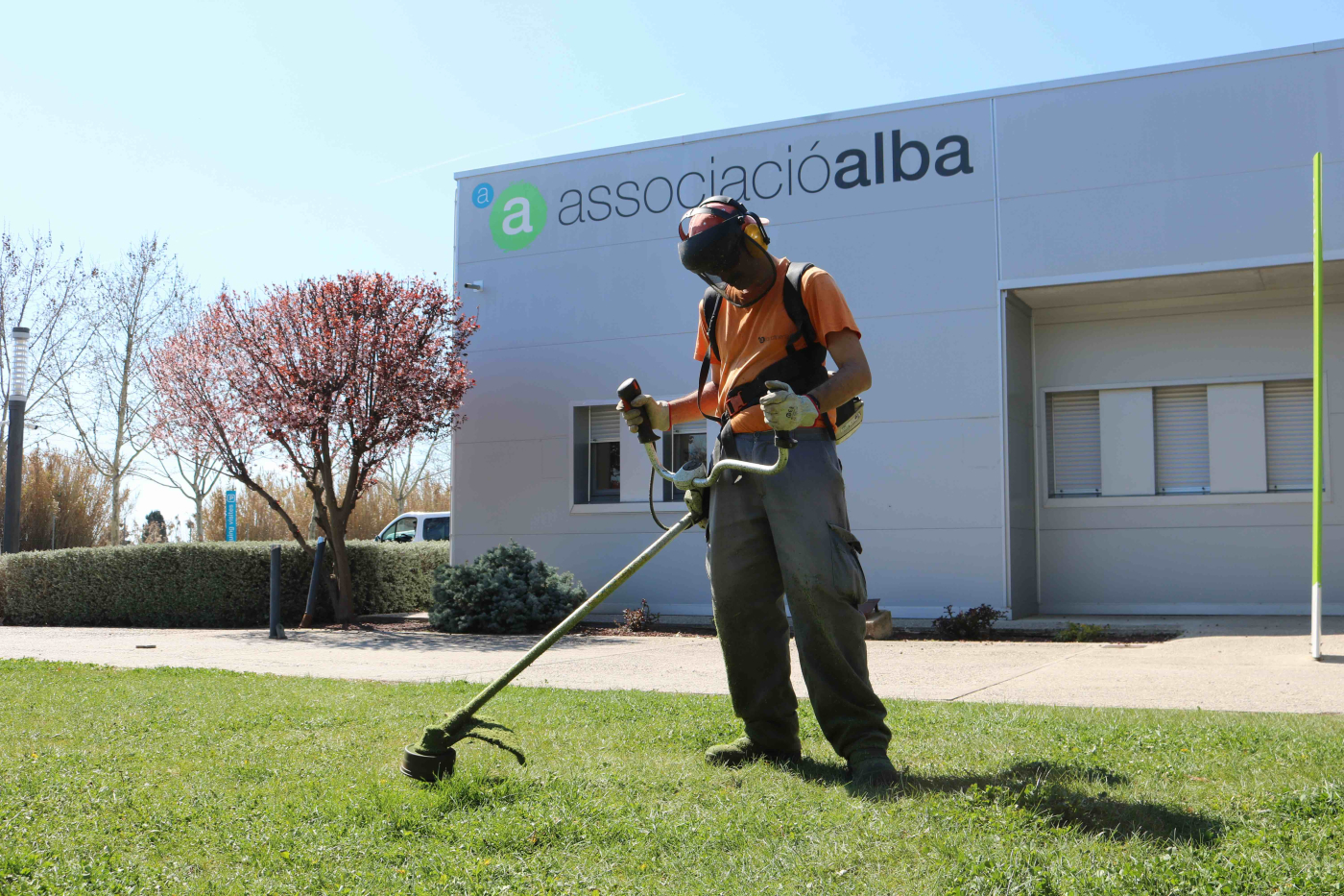 Impacte de l'augment del Salari Mínim Interprofessional al Grup Alba