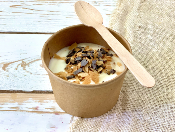 IOGURT NATURAL