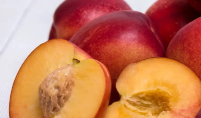 nectarina