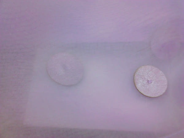 2 Visillos Carolina - 5