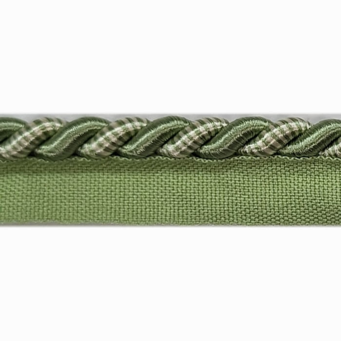 Cordón brillante con pestaña verde - 1