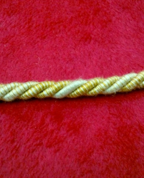 Cordón amarillo - 2