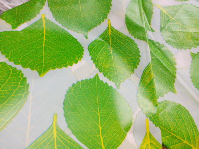 Cortina baño hojas - 1