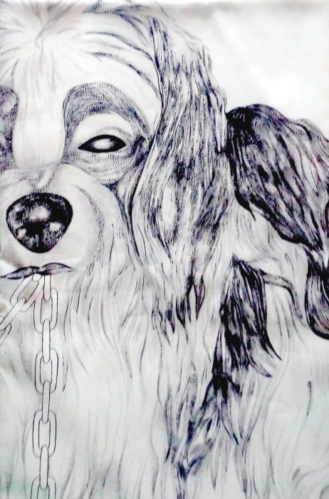 Cortina baño perros