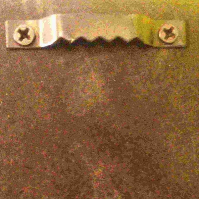 CUADRO PAVO REAL - 1