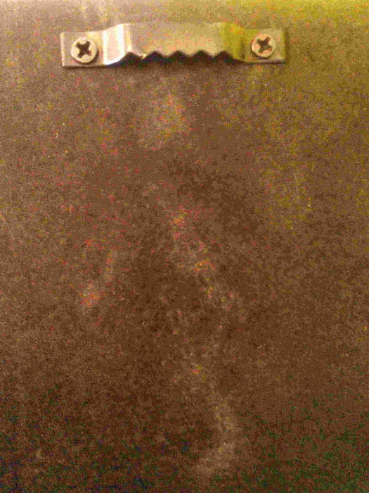 CUADRO PAVOS REALES - 1