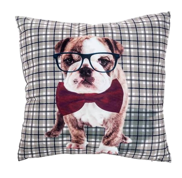 Funda de COJÍN BULLDOG RON