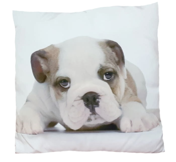 Cojines cachorro Bulldog 45 x 45