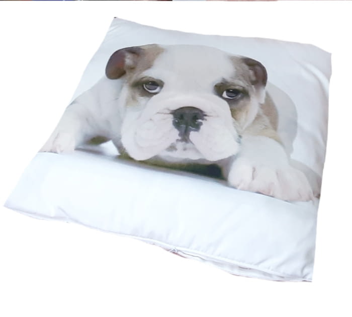 Cojines cachorro Bulldog 45 x 45 - 1