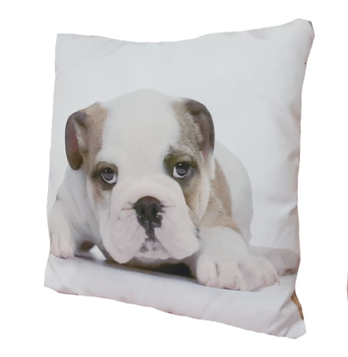 Cojines cachorro Bulldog 45 x 45 - 2