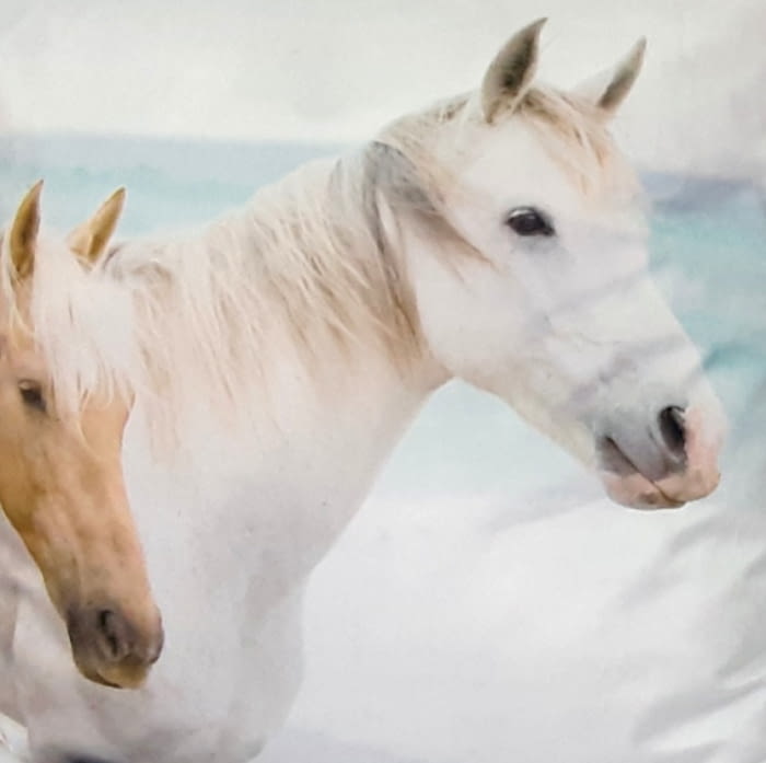 Cojines caballos 45 x 45 - 2