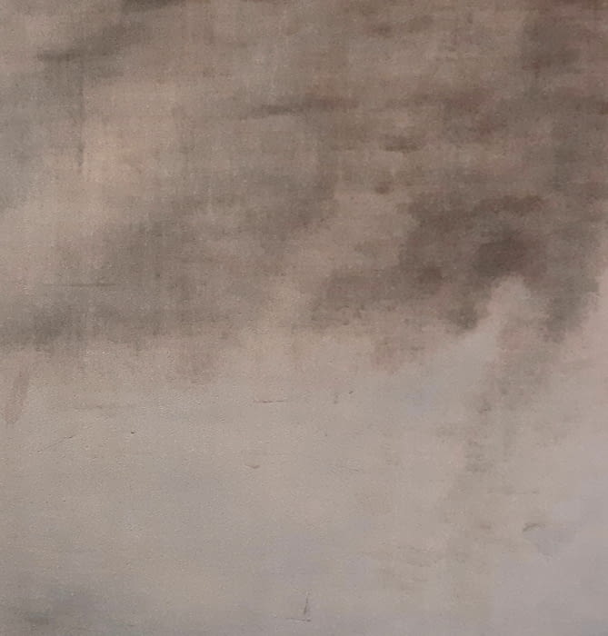 Tela terciopelo Velvet beige topo - 3