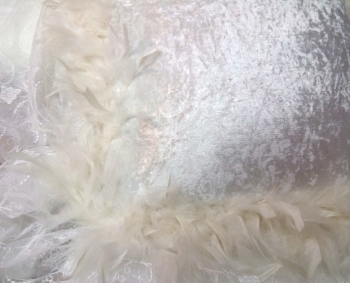 Cojín plumas crudo - 1