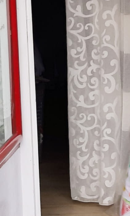 Tela visillo devoré blanco - 7