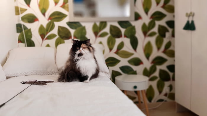 Tela hojas verdes 60 x 280 - 5