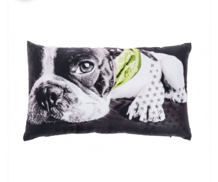 Cojines Bulldog verde