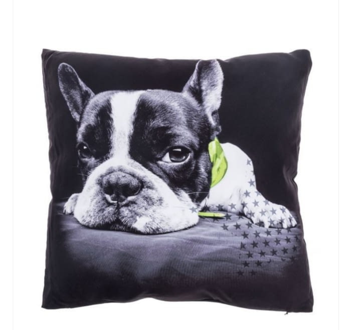 Cojines Bulldog verde - 1