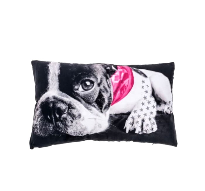 Cojines Bulldog fuxia - 2