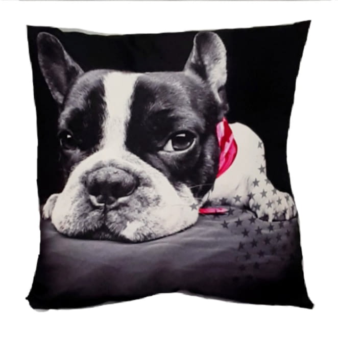 Cojines Bulldog fuxia - 3
