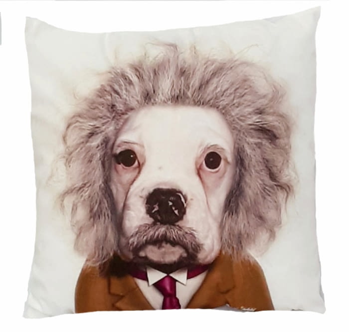 Cojines perro Einstein 45 x 45