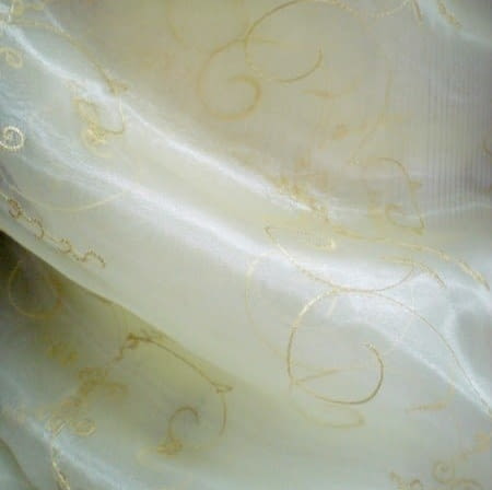 Voile bordado beige - 2