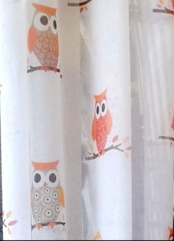 Visillos búhos naranja - 4