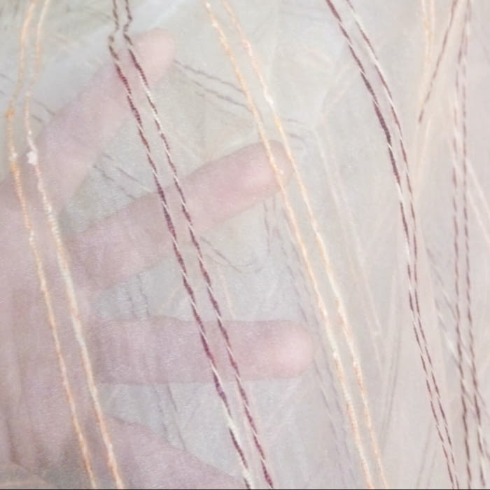 Tela Visillo organza beige - 2