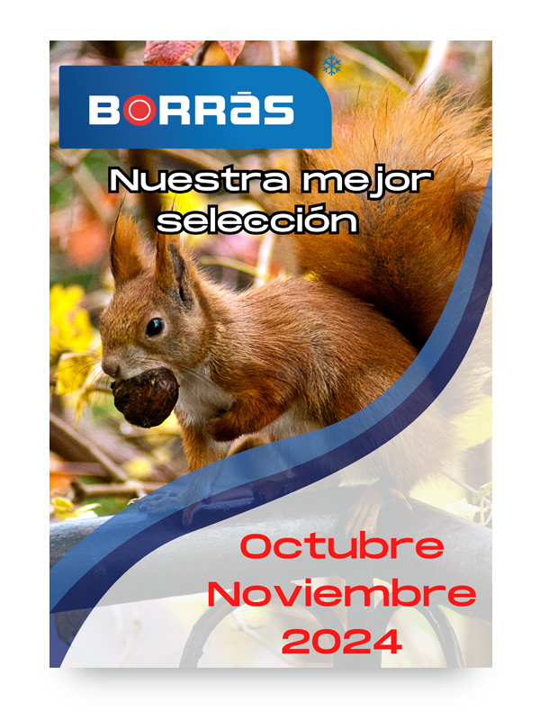Ofertas Borràs :: Octubre y Noviembre 2024