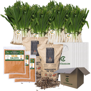 Pack Calçotada 8-10 pers. + 2 sarmientos