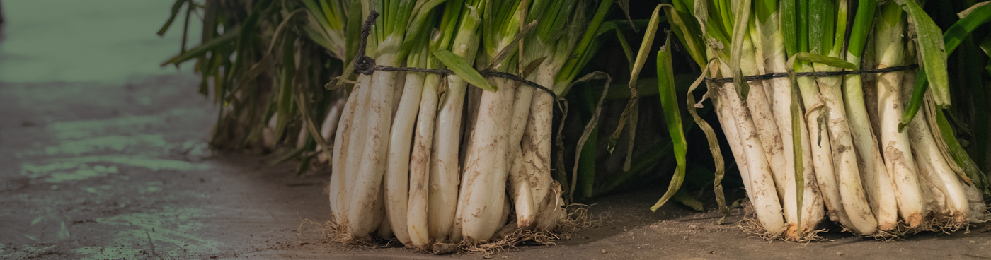 CALÇOTS