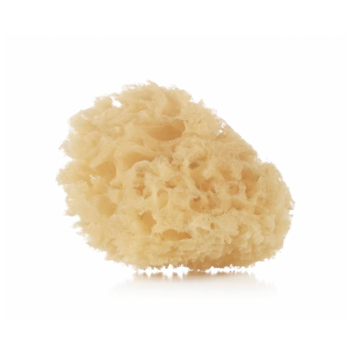 Esponja natural de baño bebés pack 2ud - 