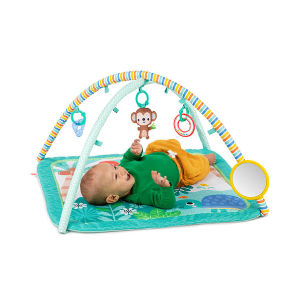 Palm Party™ Activity Gym