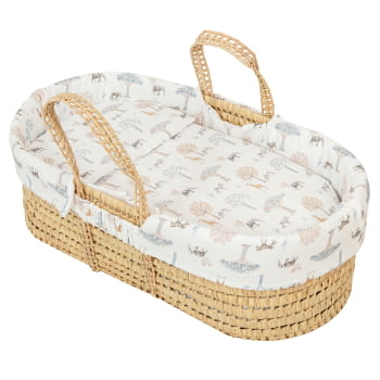 INTERIOR CAPAZO/CUCO UNIV. 834 TANZANIA 536 97 MUL