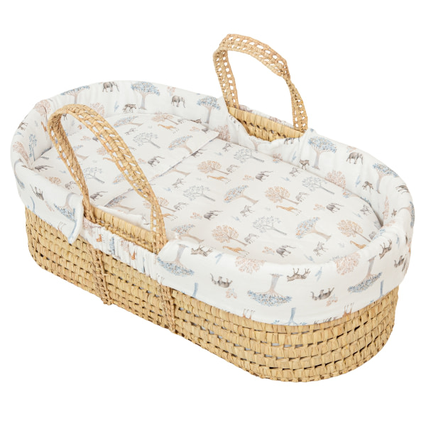 INTERIOR CAPAZO/CUCO UNIV. 834 TANZANIA 536 97 MUL