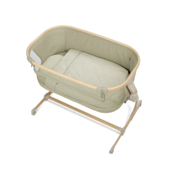 BABYSIDE-III (MOISES-COLECHO) SAGE - 2