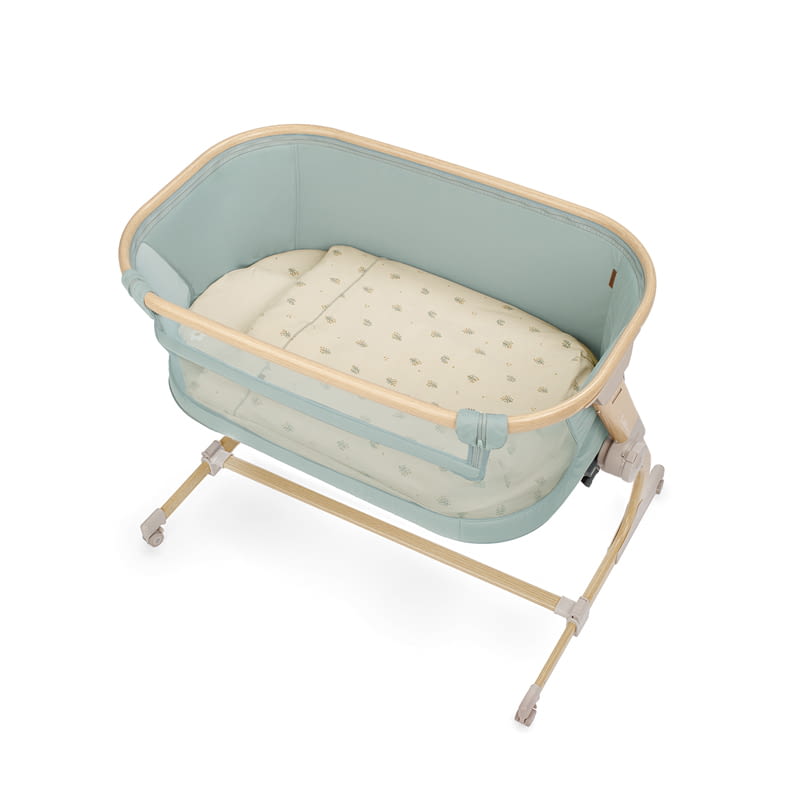 BABYSIDE-III (MOISES-COLECHO) BOTANIC