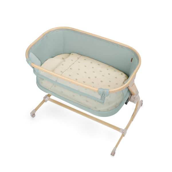 BABYSIDE-III (MOISES-COLECHO) BOTANIC