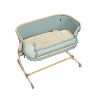 BABYSIDE-III (MOISES-COLECHO) BOTANIC - 2