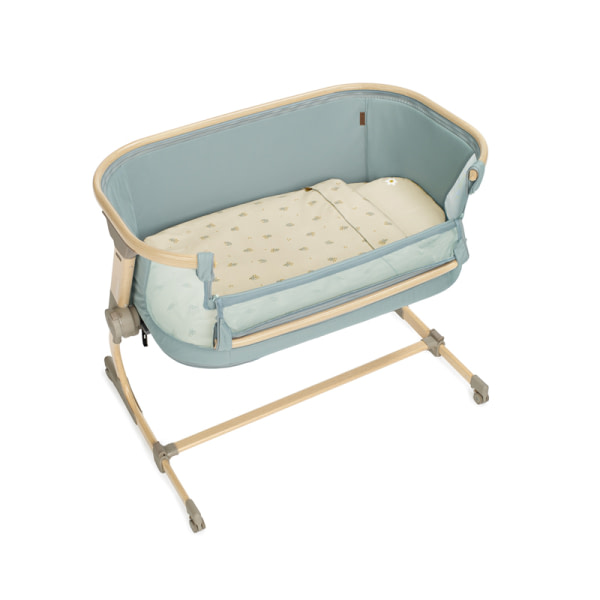 BABYSIDE-III (MOISES-COLECHO) BOTANIC - 2