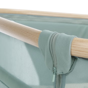 BABYSIDE-III (MOISES-COLECHO) BOTANIC - 3