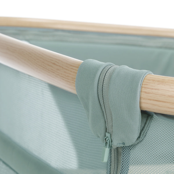 BABYSIDE-III (MOISES-COLECHO) BOTANIC - 3