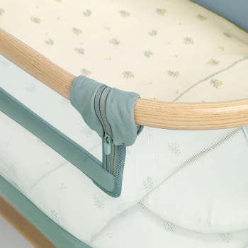 BABYSIDE-III (MOISES-COLECHO) BOTANIC - 5