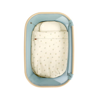 BABYSIDE-III (MOISES-COLECHO) BOTANIC - 6