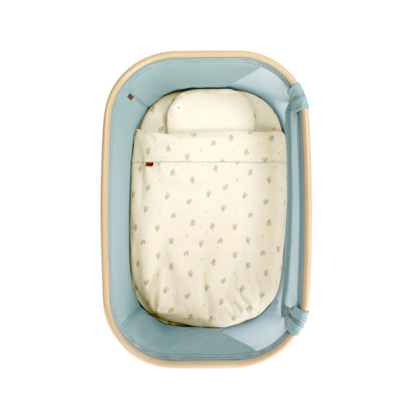 BABYSIDE-III (MOISES-COLECHO) BOTANIC - 6