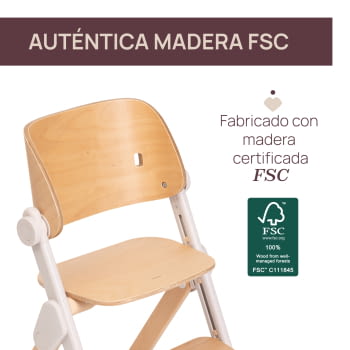 TRONA MERAVIGLIA FOSSIL - 4