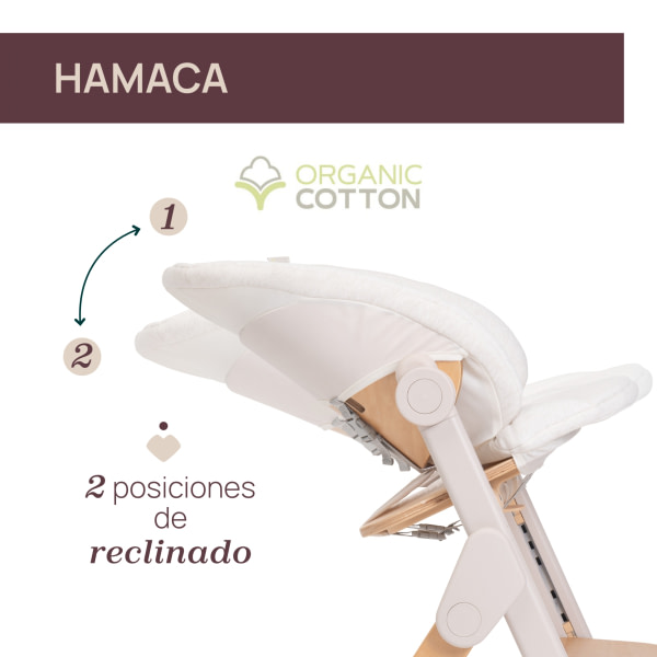 TRONA MERAVIGLIA FOSSIL - 5