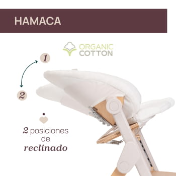 TRONA MERAVIGLIA FOSSIL - 5