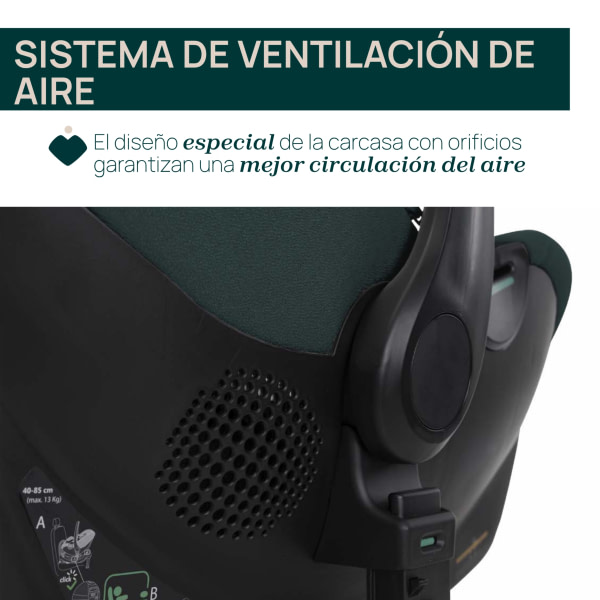 SILLA AUTO KORY PLUS FIR TREE - 4