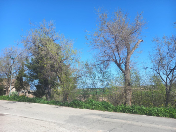 Casa rural Verdú - 28